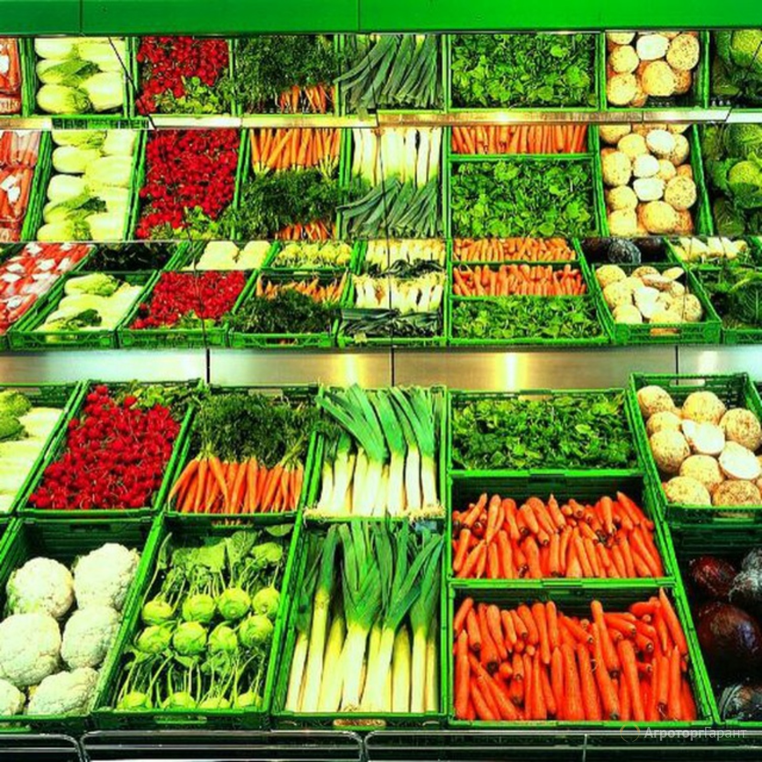 Где Купить Овощи Оптом Дешево