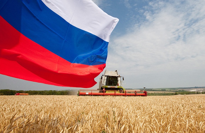 На место импортных сельхозмашин пришли российские тракторы и комбайны