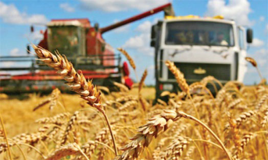 Злочевский: в 2017 году Россия вряд ли сможет повторить рекордный урожай зерна