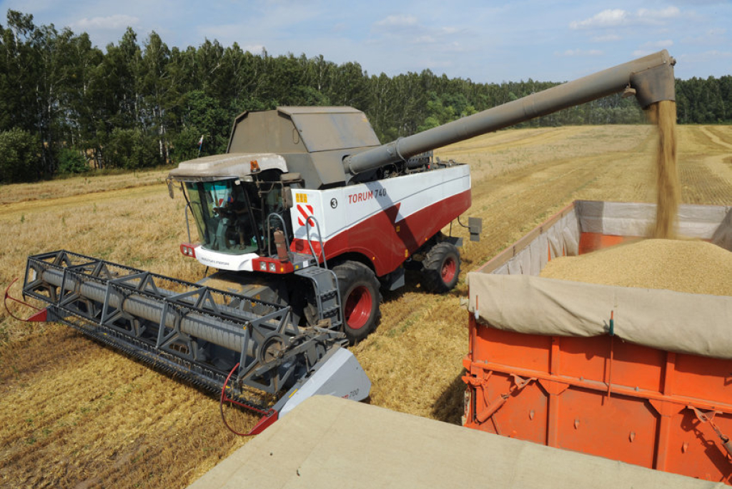 Высокий урожай зерна в РФ в 2017 году может привести к 