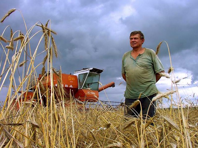 Вечная боль российского крестьянина: куда сбыть урожай?