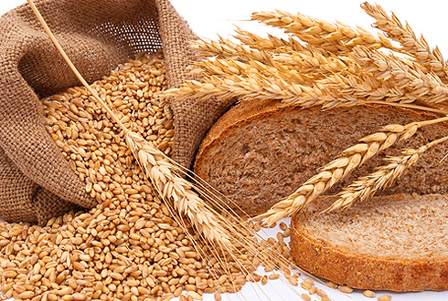 Хлеб из фуражного зерна для россиян: миф или реальность?