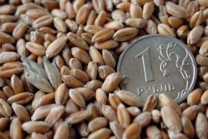 Мониторинг цен на зерно в Алтайском крае с 1 июня по 8 июня 2018 г.