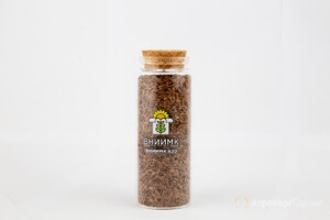Семена масличного льна ВНИИМК сорт ВНИИМК 620