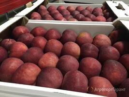 Яблоки оптом со склада в Краснодарском крае