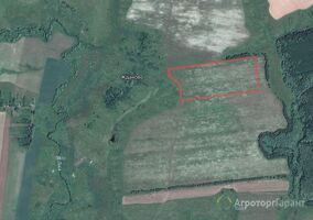 Продам земельный массив сх назначения в Кадомском районе Рязанской области