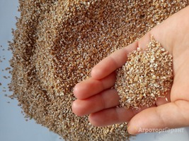 Крупа пшеничная