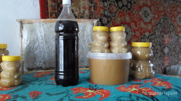 Мёд Алтайский.