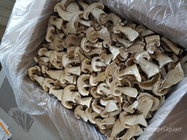 Продаю грибы белые сушеные