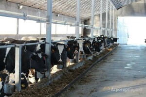 Крупное фермерское животноводческое зерноводческое хозяйства Волгоградская область