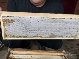 Продаю башкирский липовый лесной мёд .