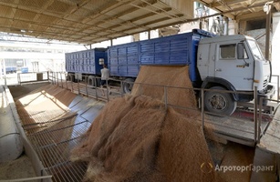 Ищем зерновозы в Брянской области