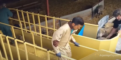 Прицеп для ветеринарной обработки овец Javier Camara (Испания)