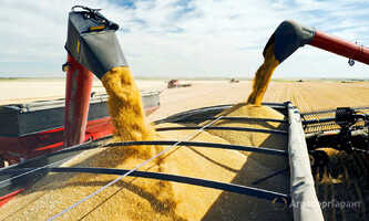 Перевозка пшеницы, ячменя,  кукурузы, семечки, отрубей, жмыха