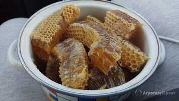 Натуральный Алтайский мёд от производителей