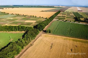 Продам землю сельхозназначения