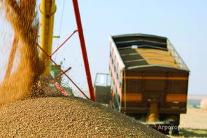 Перевозка зерна урожая 2021 в Пензенской области. Очень выгодные условия.