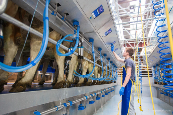 Доильное оборудование для молочных ферм