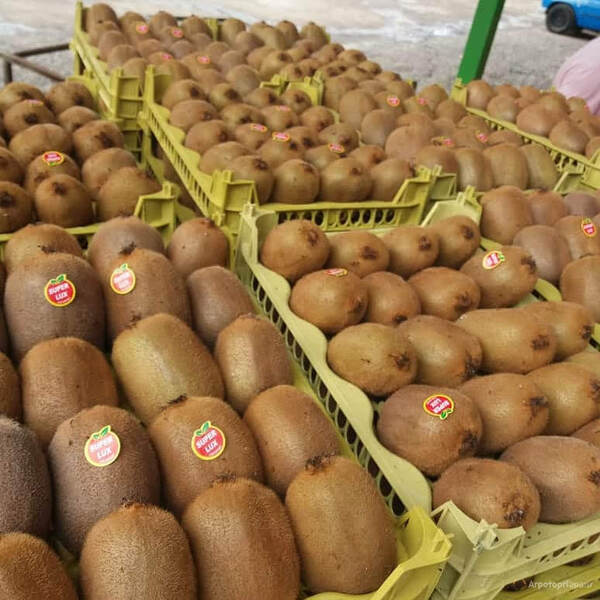 Упаковка и доставка иранской сельскохозяйственной и фруктовой продукции в Россию