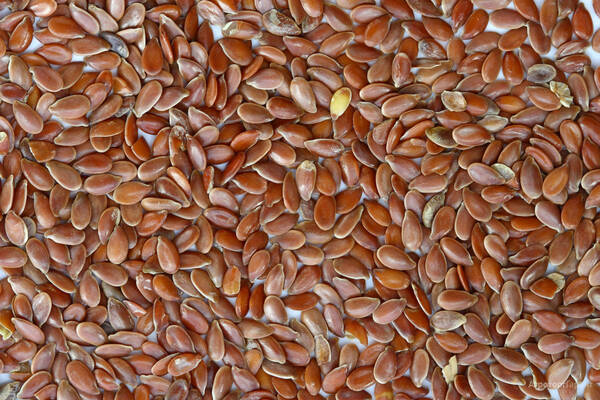 Семена льна масличного сорт «МИКС»