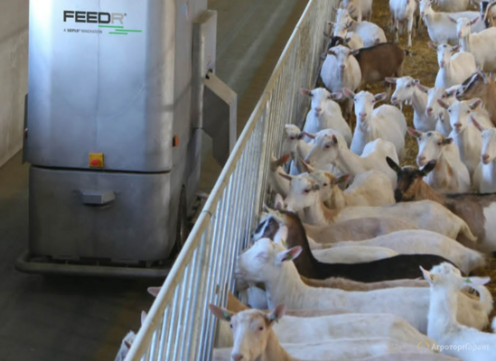 Беспилотный РОБОТ кормораздатчик FEEDR ®  для коз овец коров телят