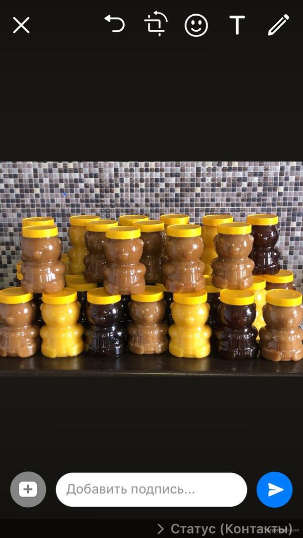 Продам мед и продукцию пчеловодства