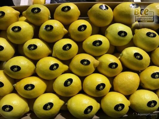 Продаю цитрусовые, мандарины, апельсины, лимоны