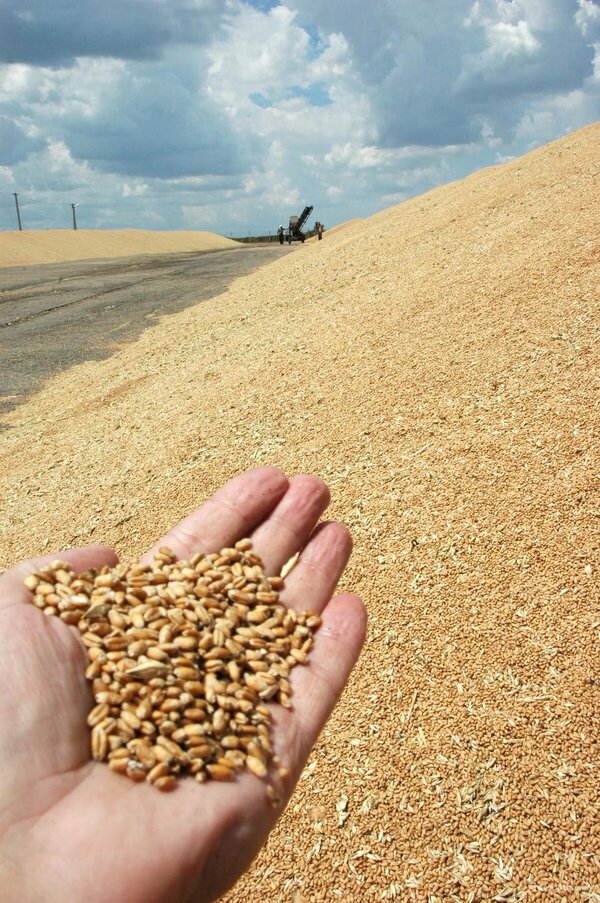 Пшеница 3.700т