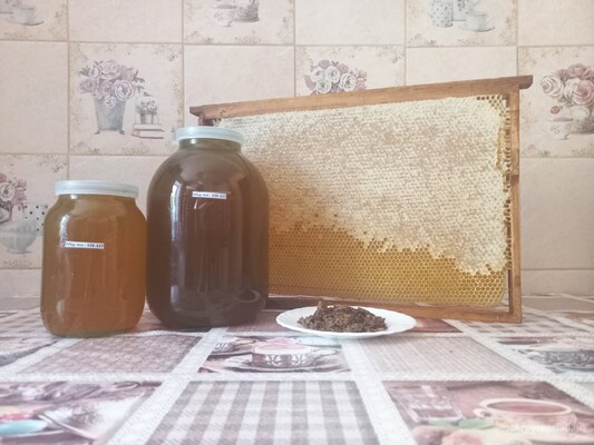 Мёд разнотравье Урожай август 2022