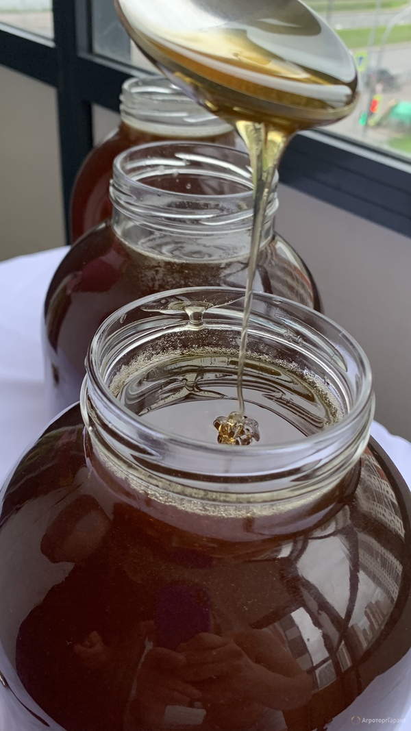 Свежий пчелиный мёд из Псковской области.