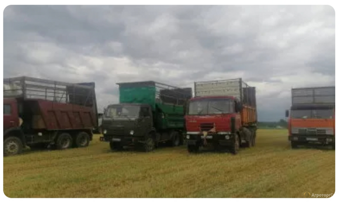 Услуги автомобилей КАМАЗ оборудованные для перевозки сенажа или силоса.