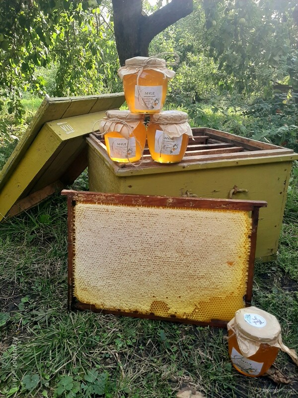 Мед со своей пасеки