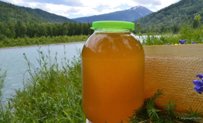 Башкирский горный Липовый мёд