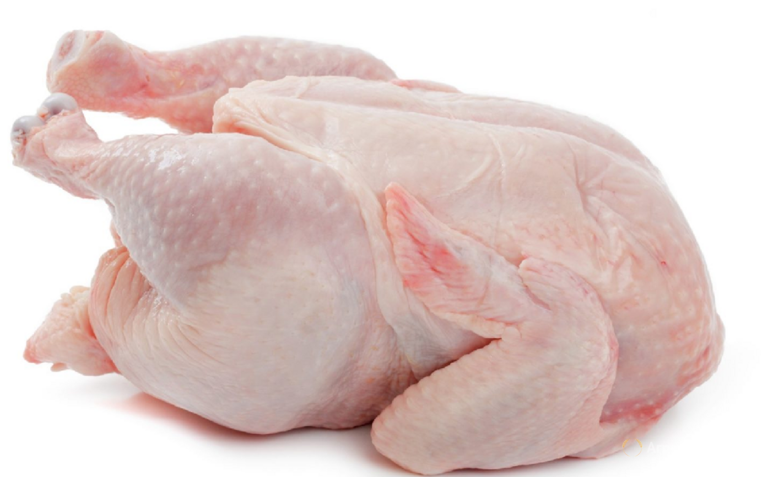 Мясо кура купить в. Курица мясо. Тушки домашней птицы. Тушка куриная. Тушка курицы охлажденная.