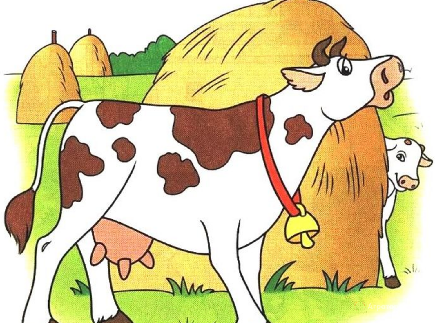 Объявление Продаю коров симментальской и голштинской породы в Республике Башкортостан