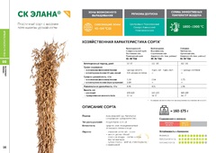 Продаю Семена сои: сорт ЭЛАНА Компания в Краснодарском крае