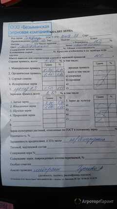 Продаю Ищем счастливых обладателей зеленой чечевицы в Саратовской области