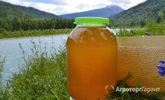 Продаю продам мёд в Орловской области