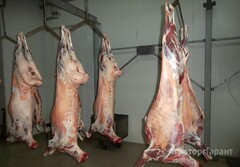 Продаю Мясо Баранина в Волгоградской области