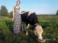 Продаю Продаем молодого быка производителя в Тверской области