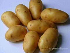 Продаю Продам  картофель в Республике Крым