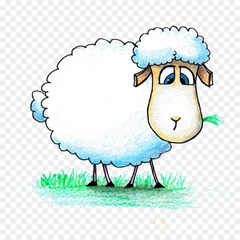 Продаю Ярки. Овцы курдючные в Саратовской области
