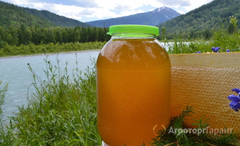 Продаю Башкирский горный Липовый мёд в Республике Башкортостан
